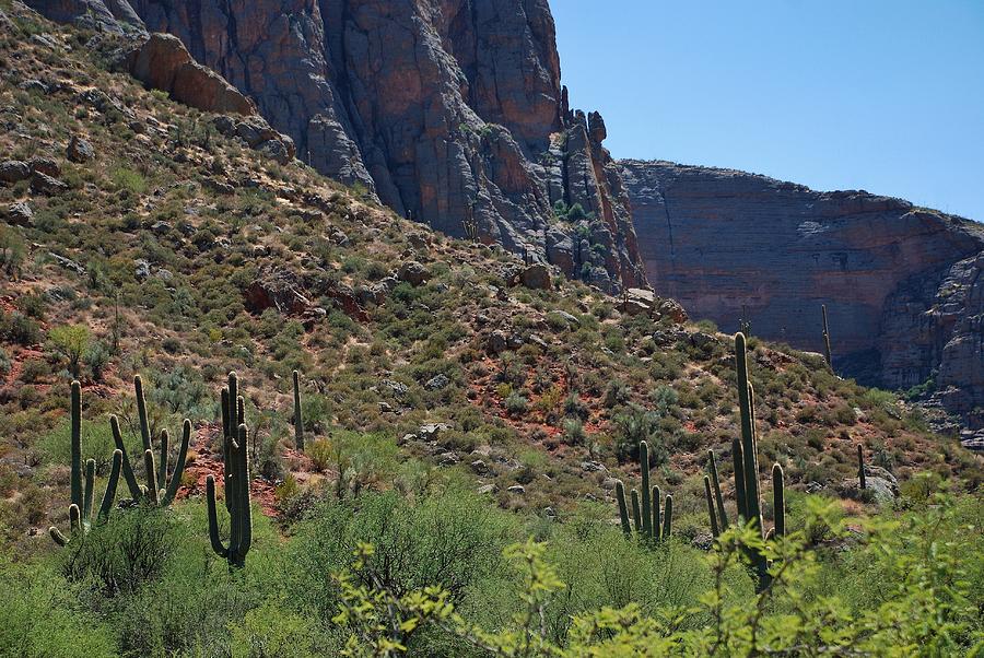 Apache Trail - Arizona #1 Photograph by Dany Lison