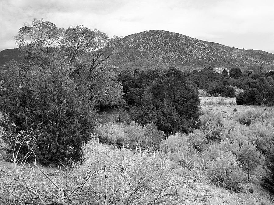 April New Mexico Desert - black and white #1 Photograph by Kathleen Grace