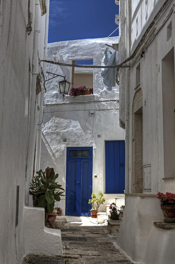 Flower Photograph - Apulia - blue-white #1 by Joana Kruse