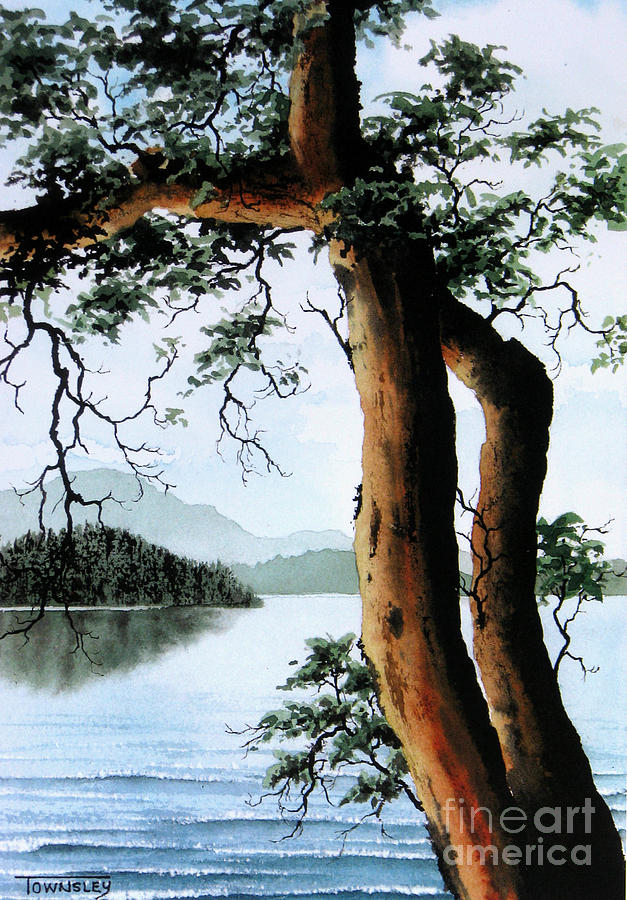 Tree Painting - Arbutus #1 by Frank Townsley