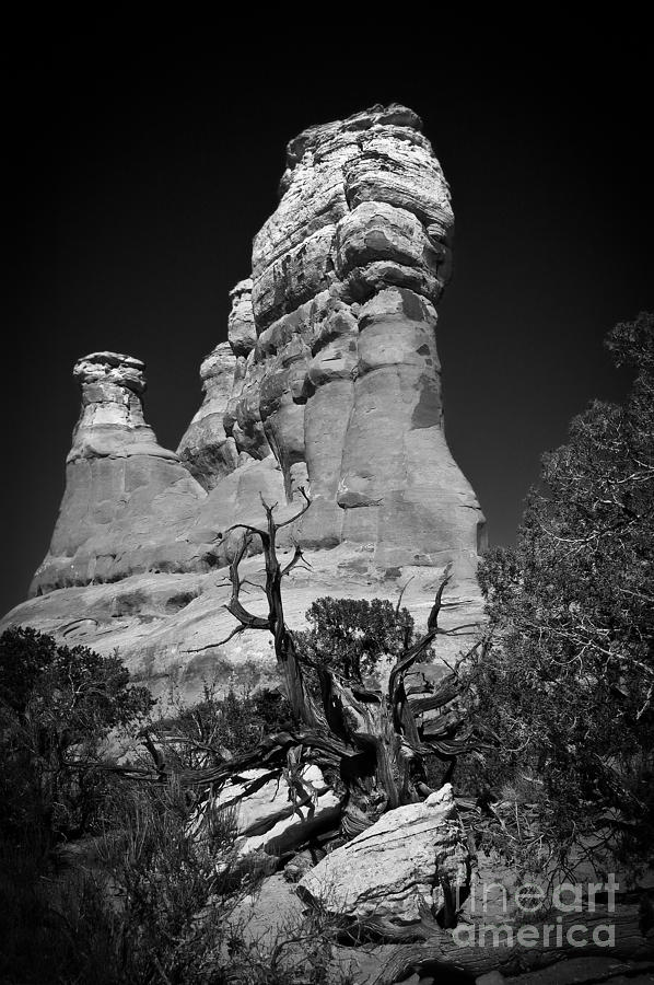 Arches National Park BW #1 Photograph by Larry Carr