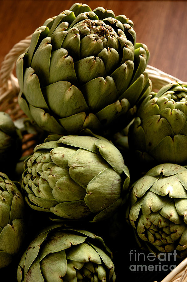Artichoke #1 Photograph by HD Connelly