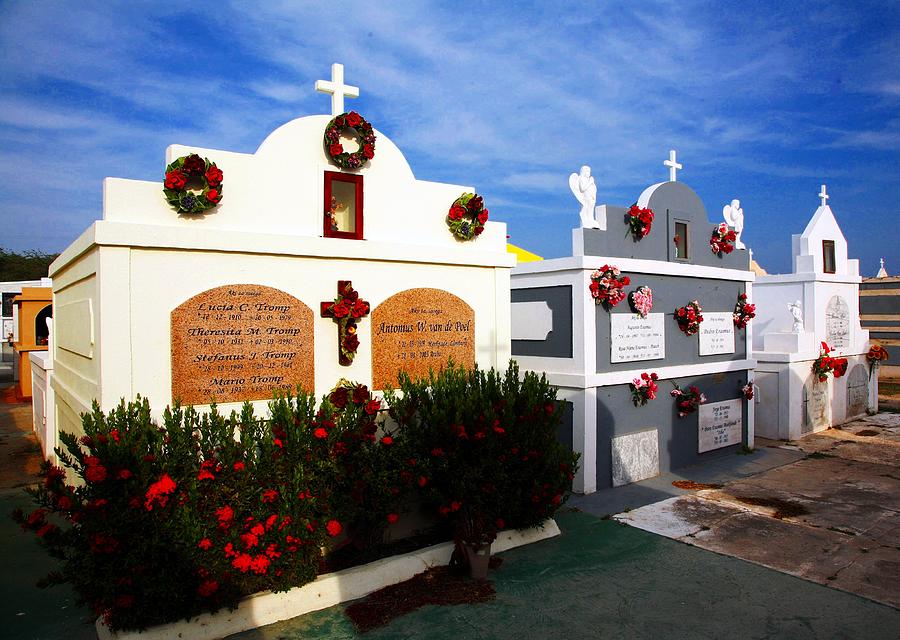 Aruba Cemetery Digital Art by Carrie OBrien Sibley | Fine Art America