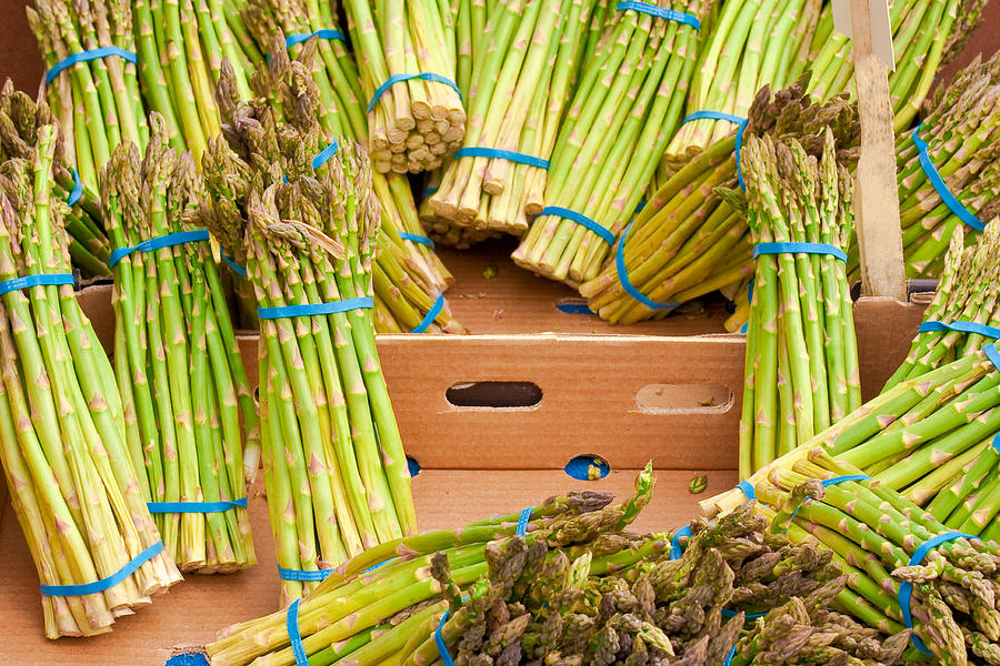 Asparagus Photograph - Asparagus #1 by Tom Gowanlock