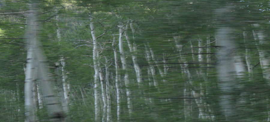 Aspen Digital Art - Aspen Blur by Bill Kennedy Aspen Digital Art - Aspen Blur by Bill Kennedy