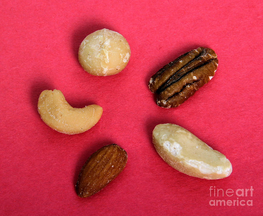 Assorted Nuts #1 Photograph by Photo Researchers, Inc.