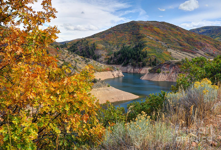 Fall Photograph - Autumn at Causey Reservoir - Utah #2 by Gary Whitton