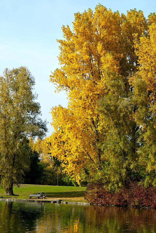 Autumn Photograph by Design Windmill | Fine Art America