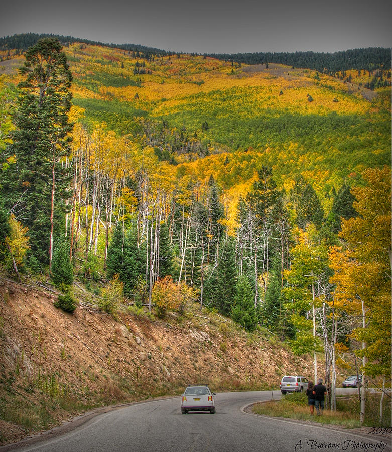Autumn Drive #1 Photograph by Aaron Burrows