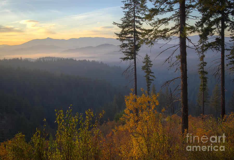 Autumn Forest #1 Photograph by Idaho Scenic Images Linda Lantzy