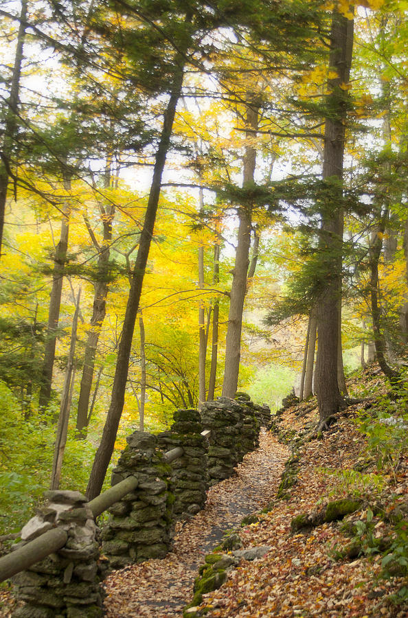 Autumn Hike #1 Photograph by Cindy Haggerty