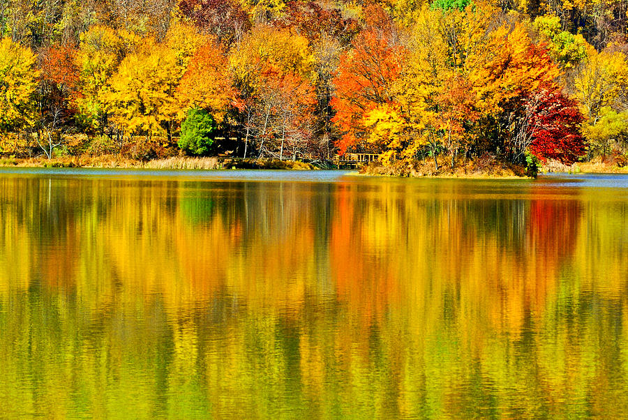Fall Photograph - Autumn Lake #1 by Margaretha Brooks