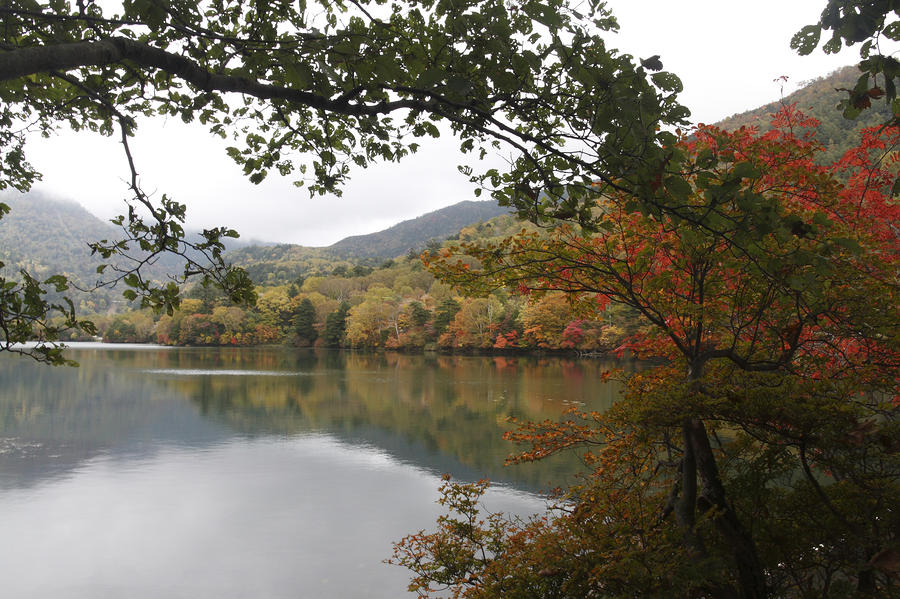 Autumn #3 Photograph by Masami Iida