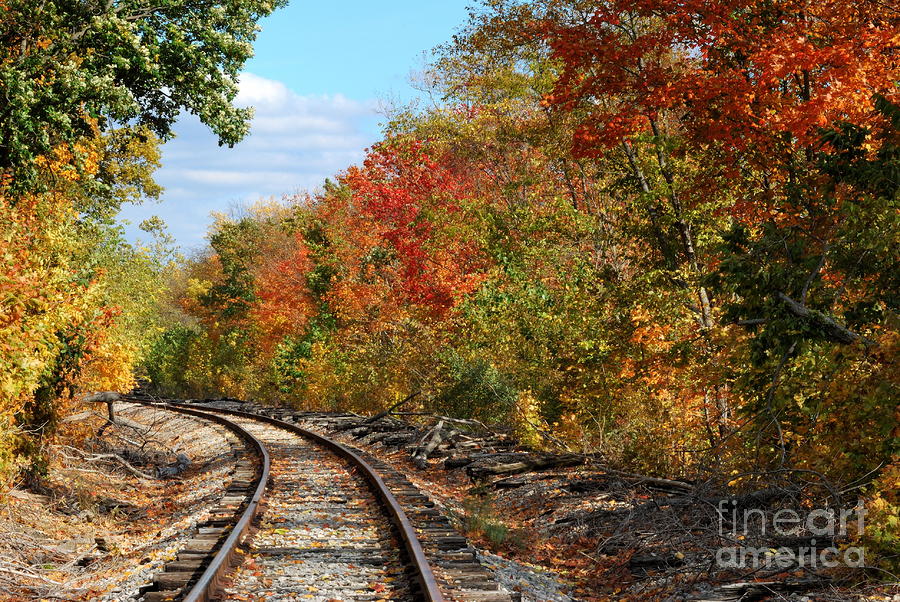 Autumn Rails #1 Photograph by Pamela Baker