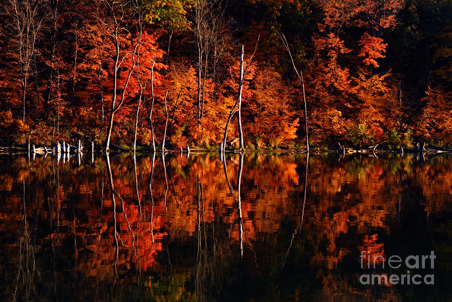 Nature Photograph - Autumn Reflections #1 by Larry Ricker
