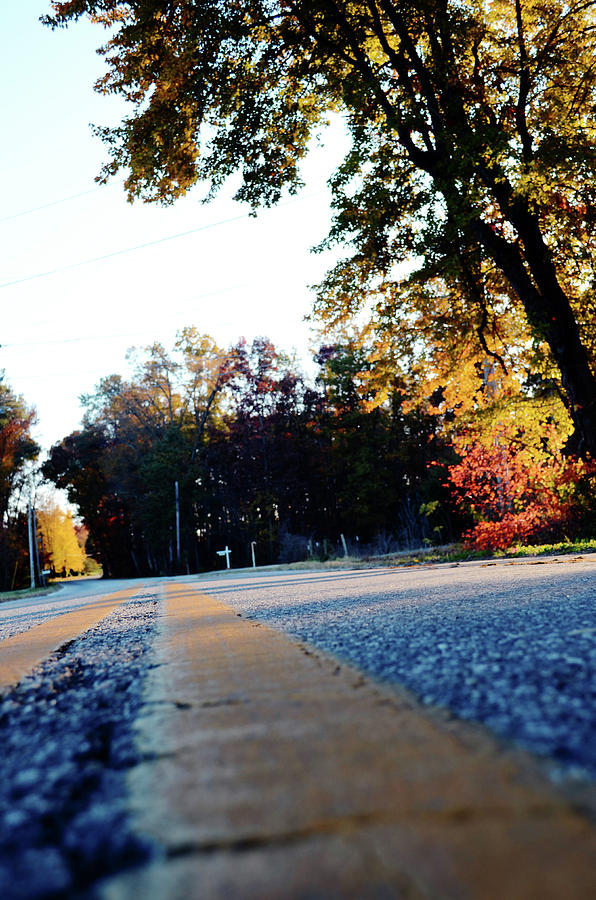Autumn Road #1 Photograph by La Dolce Vita