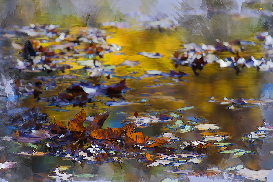 Fall Photograph - Autumn Voyage by Ron Jones