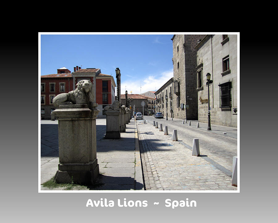 Avila Lions Spain #1 Photograph by John Shiron