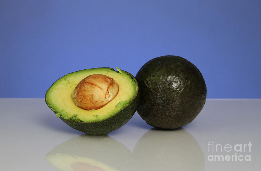 Avocado #1 Photograph by Photo Researchers, Inc.
