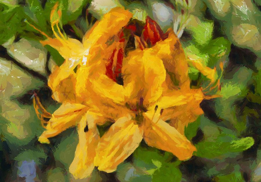 Azaleas in bloom #1 Digital Art by Fran Woods