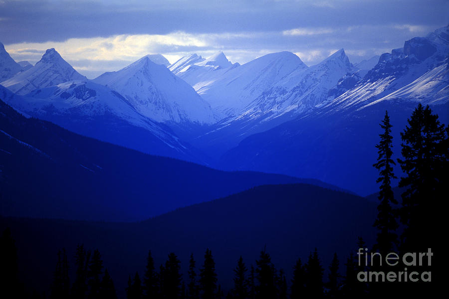 Banff - Mistaya Valley #1 Photograph by Terry Elniski