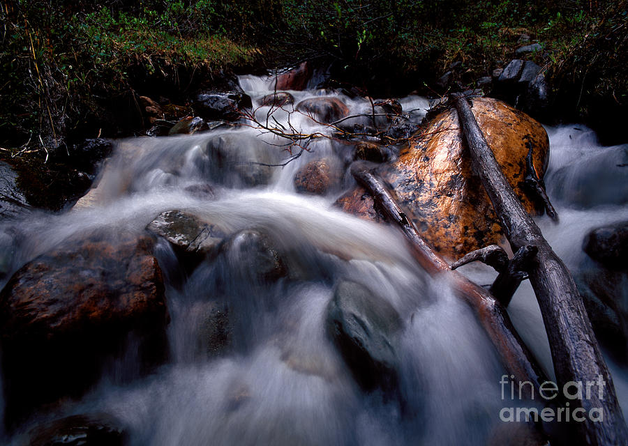 Banff - Mountain Stream #1 Photograph by Terry Elniski