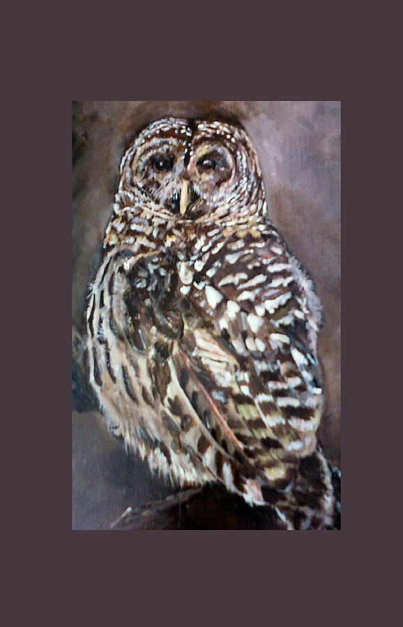 Barred Owl Painting by Amalia Jonas - Fine Art America