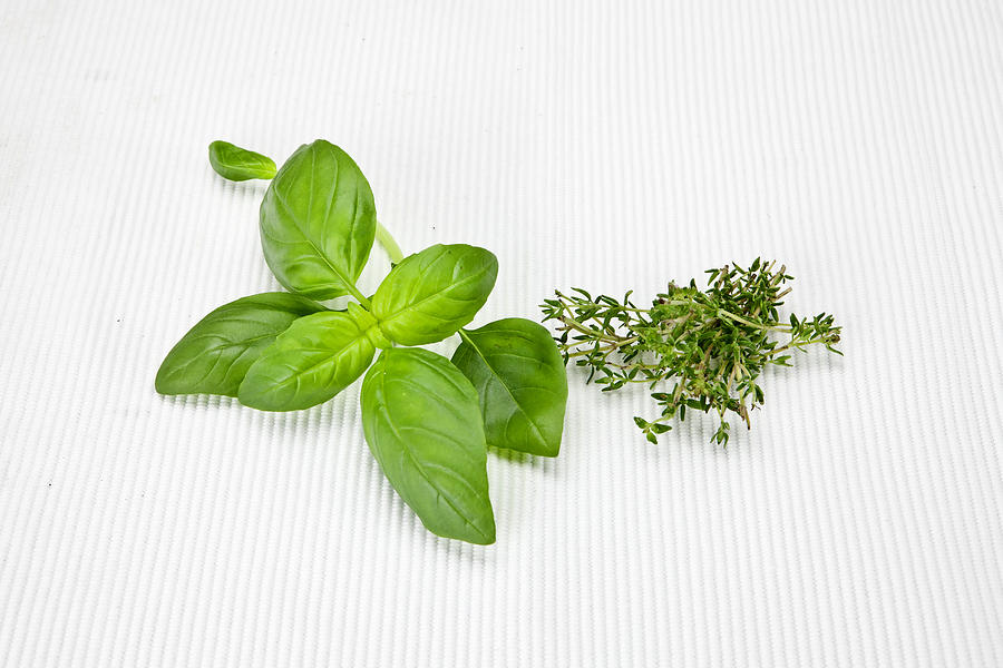 Aromatic Herbs Photograph - Basil and thyme #1 by Joana Kruse