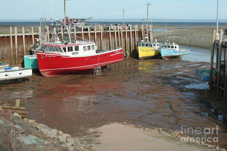 Bay Of Fundy - Low Tide #1 Photograph by Ted Kinsman