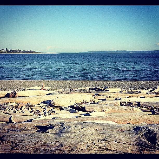 Seattle Photograph - Beach #1 by Madeline Perez