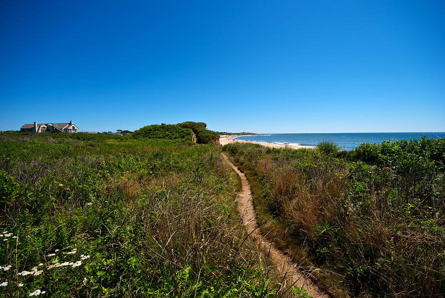 Summer Photograph - Beach Trail #1 by Mike Horvath