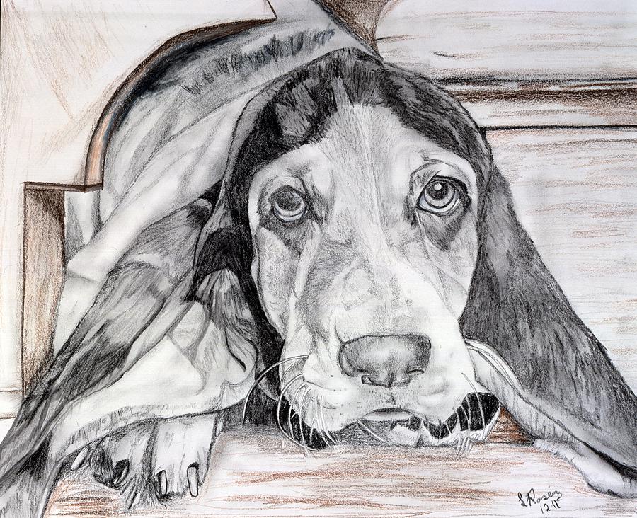 Beagle Drawing by Leeann Stumpf