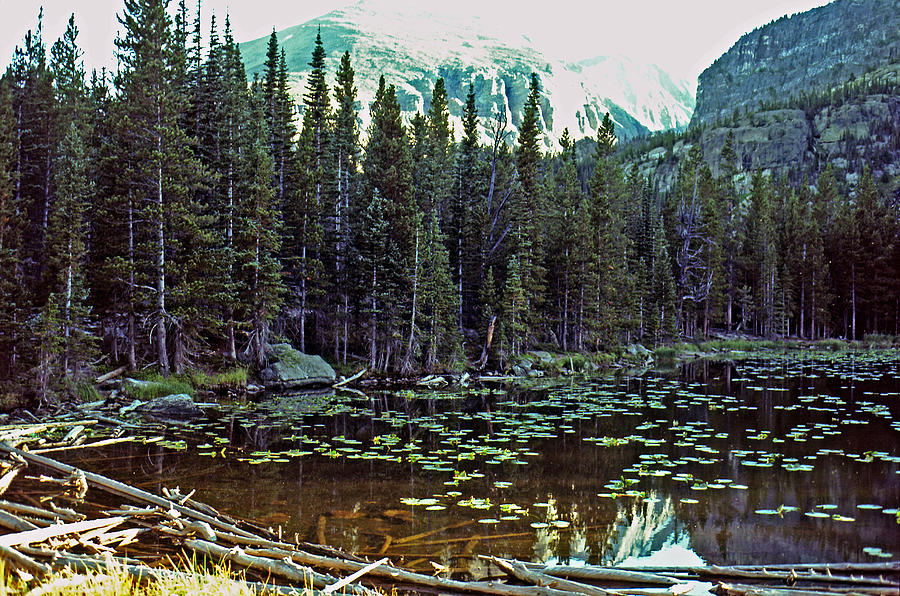 Bear Lake #1 Photograph by Rod Jones