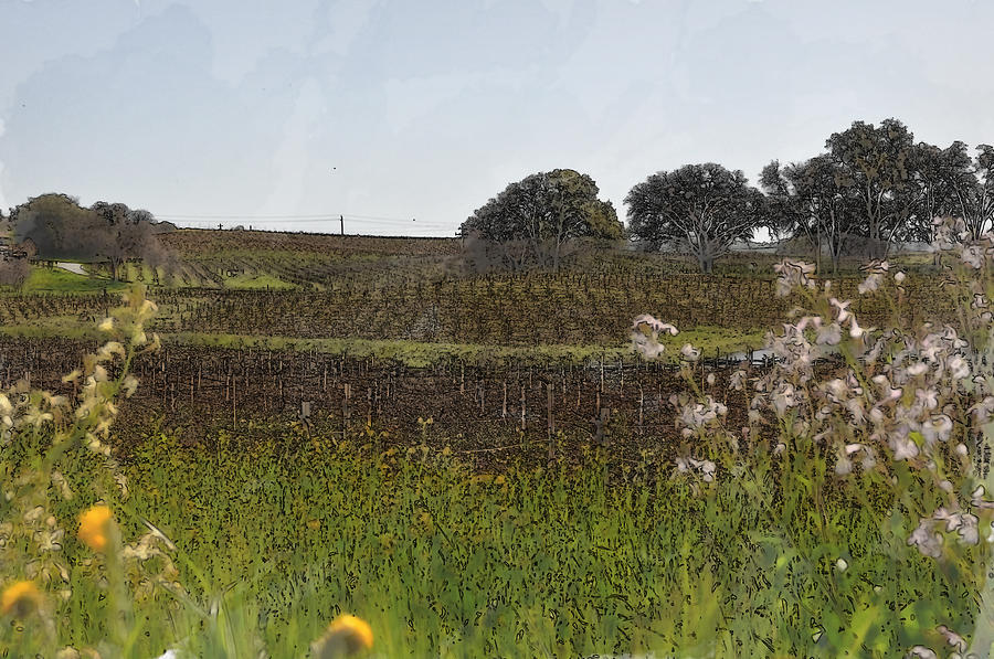 Nature Digital Art - Beautiful California Vineyard Framed with Flowers #1 by Brandon Bourdages