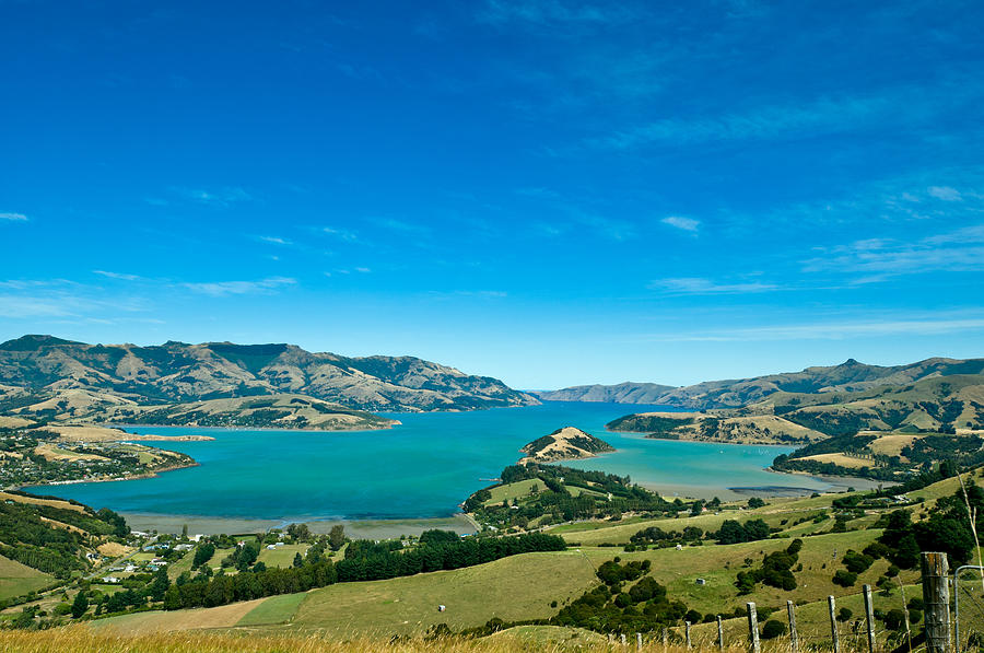 Beautiful Summer Day View Into The Akaroa Harbour Photograph