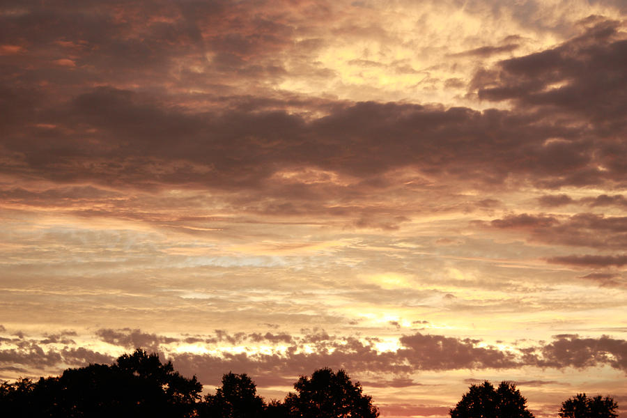 Beautiful Sunset #1 Photograph by Ann Murphy