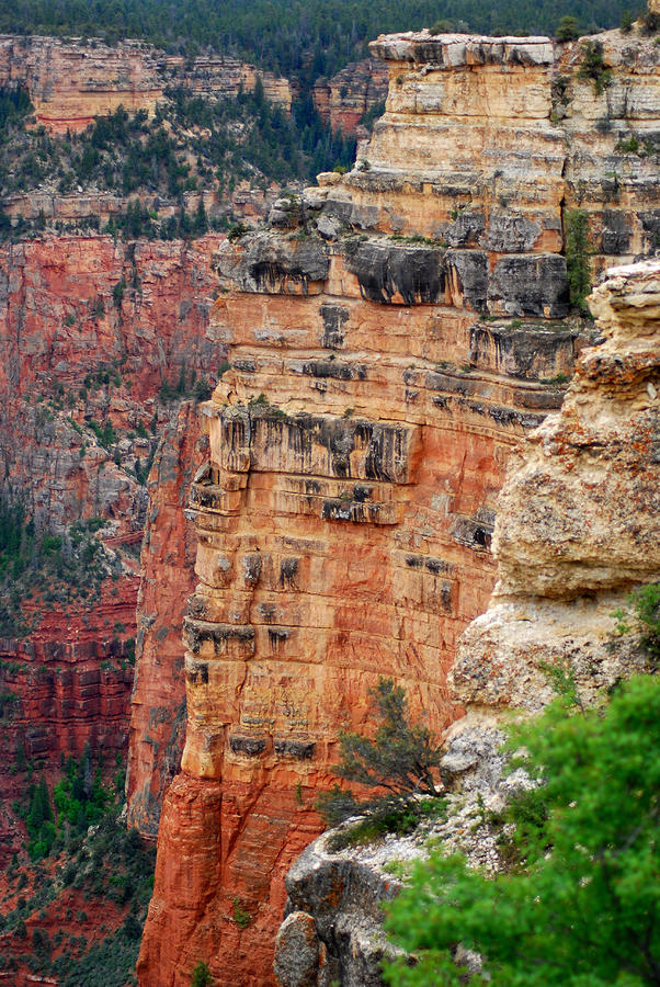 Beauty of the Canyon #1 Photograph by Wanda Jesfield