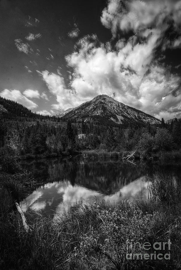 Beaver Pond Reflection #1 Photograph by David Waldrop