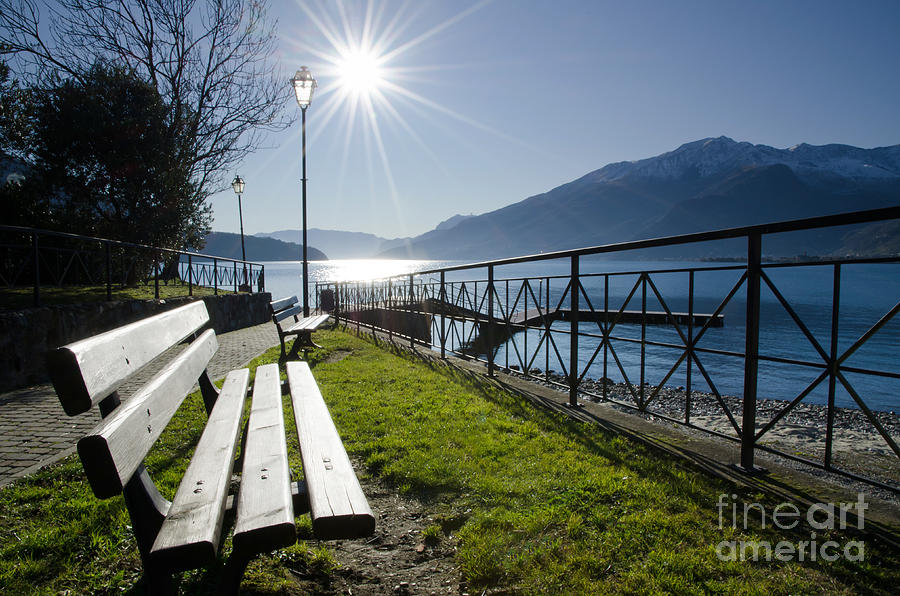 Tree Photograph - Bench in backlight #1 by Mats Silvan