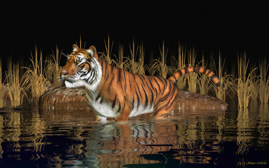 Bengal Tiger #1 Digital Art by Walter Colvin