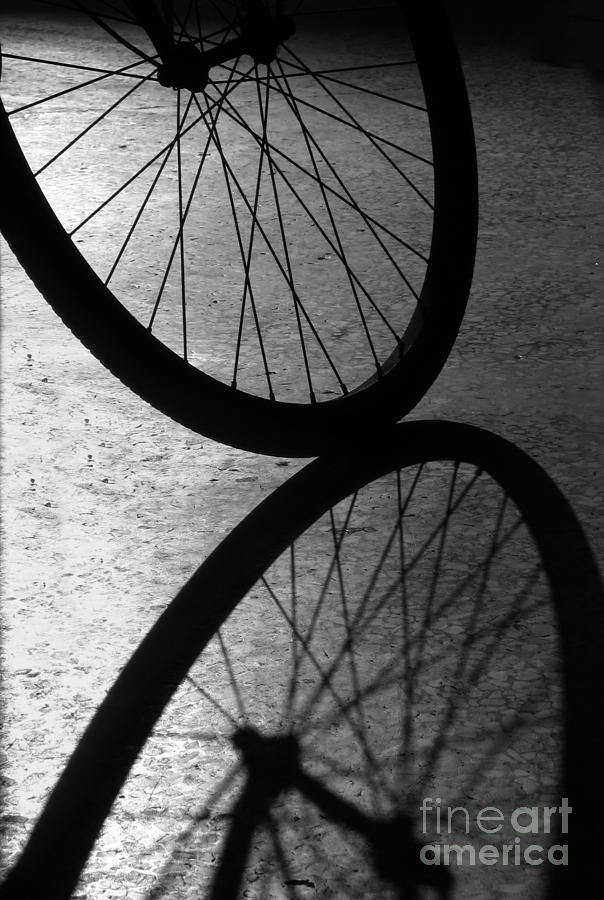 Bike Wheel Shadow Photograph by Yali Shi