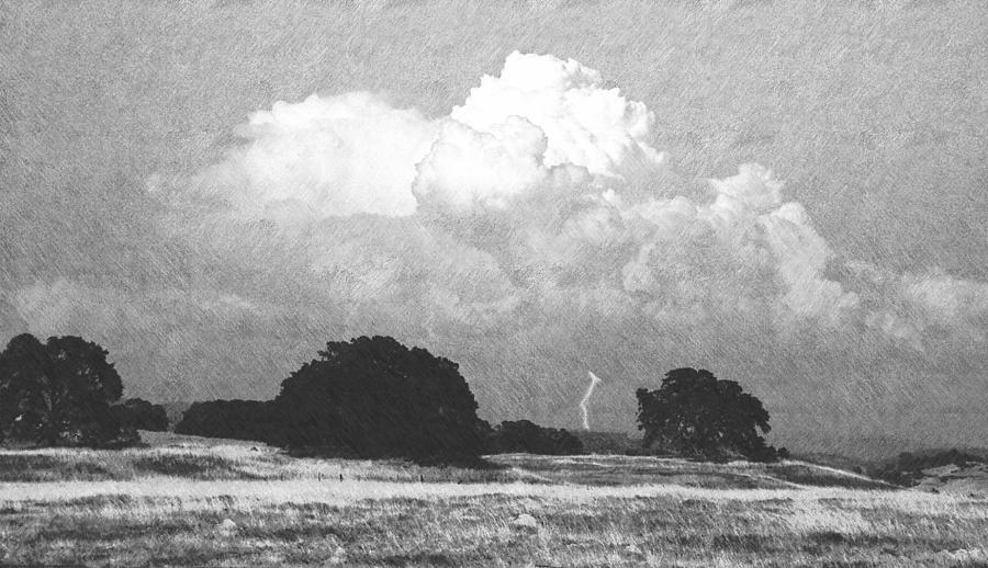 Tree Photograph - Billowing Thunderhead #1 by Frank Wilson