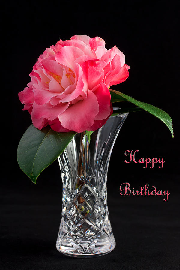 Birthday vase #1 Photograph by Shirley Mitchell