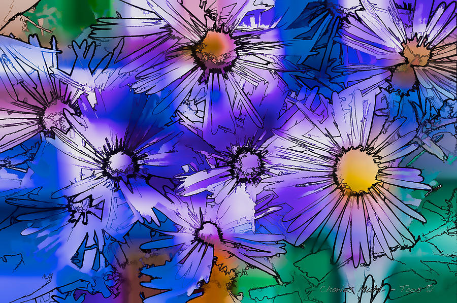 Blue Asters #1 Digital Art by Charles Muhle