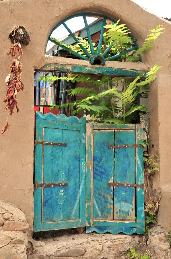 Blue Doors #1 Photograph by Pamela Steege