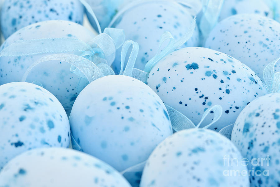 Blue Easter eggs 3 Photograph by Elena Elisseeva