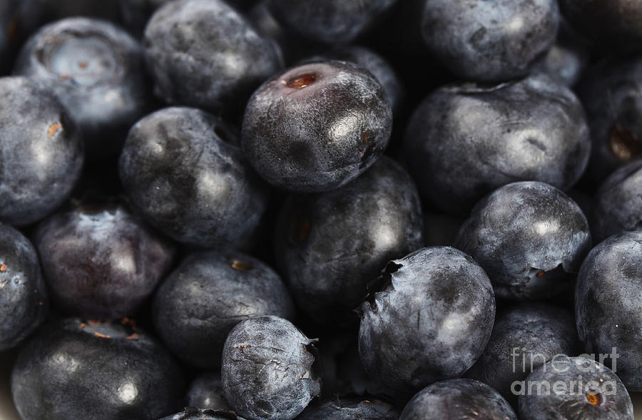 Blueberries #1 Photograph by Photo Researchers, Inc.