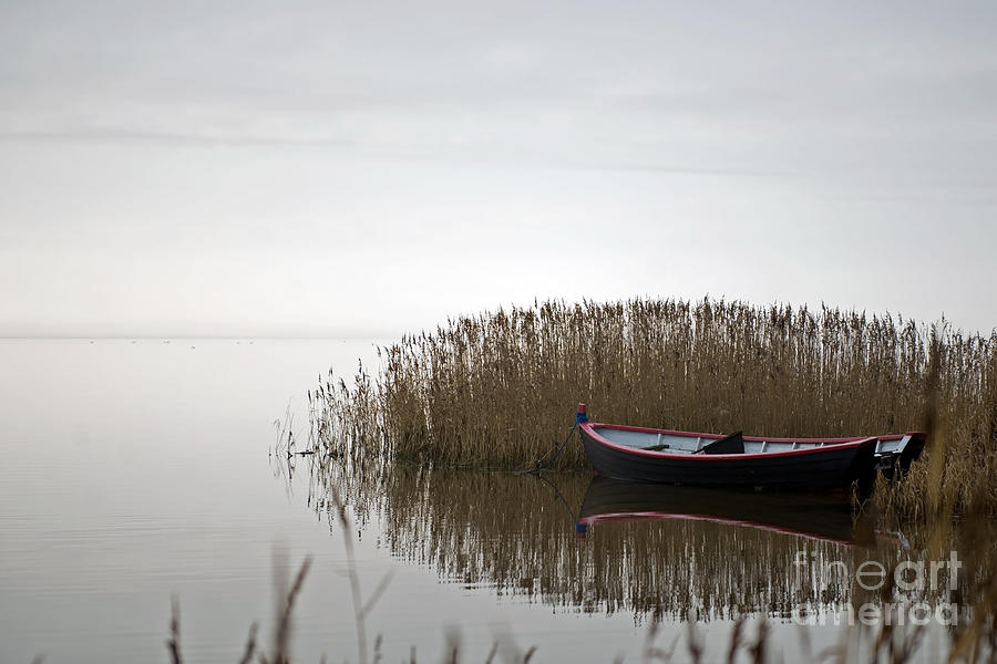 Boat #1 Photograph by Jorgen Norgaard