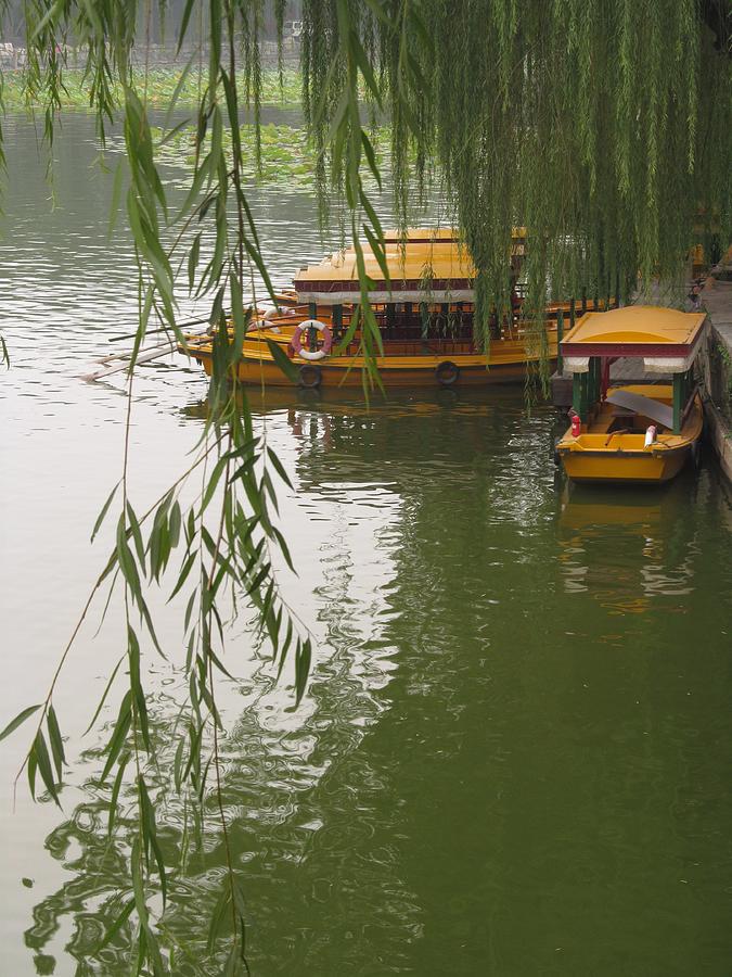 Boat With Willow #2 Photograph by Alfred Ng