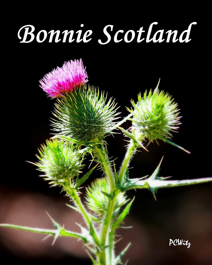 Bonnie Scotland Photograph by Patrick Witz